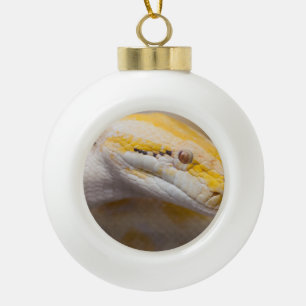 Indian Albino Python Ho Chi Minh City Zoo, Vietnam Ceramic Ball Christmas Ornament