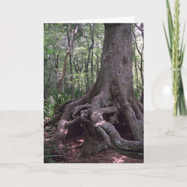 Indian Artifact Custom Louisiana Greeting Card (Front)