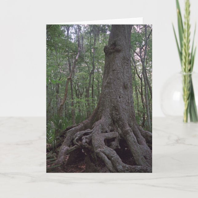 Indian Artifact Custom Louisiana Greeting Cards (Front)