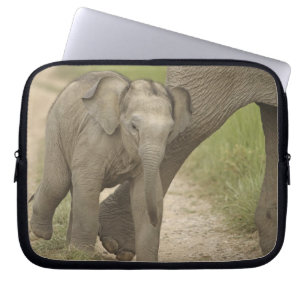 Indian / Asian Elephant and young one,Corbett 2 Laptop Sleeve