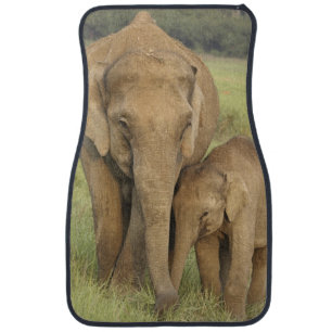 Indian / Asian Elephant and young one,Corbett Car Floor Mat