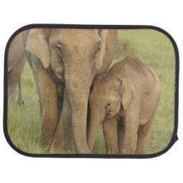 Indian / Asian Elephant and young one,Corbett Car Mat