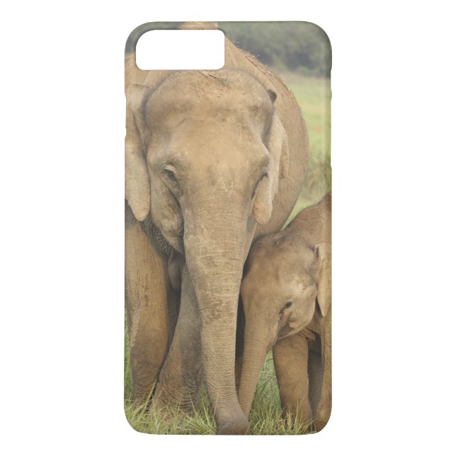 Indian / Asian Elephant and young one,Corbett Case-Mate iPhone Case (Back)
