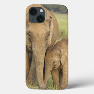 Indian / Asian Elephant and young one,Corbett iPhone 13 Case