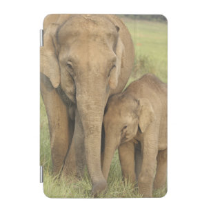 Indian / Asian Elephant and young one,Corbett iPad Mini Cover