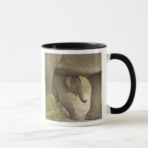 Indian / Asian Elephant and young one,Corbett Mug