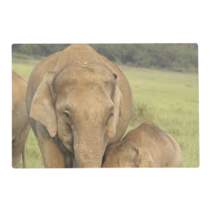 Indian / Asian Elephant and young one,Corbett Placemat