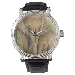 Indian / Asian Elephant and young one,Corbett Watch