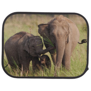 Indian Asian Elephant Family in the Savannah Car Floor Mat