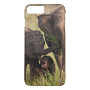 Indian Asian Elephant Family in the Savannah iPhone 8 Plus/7 Plus Case