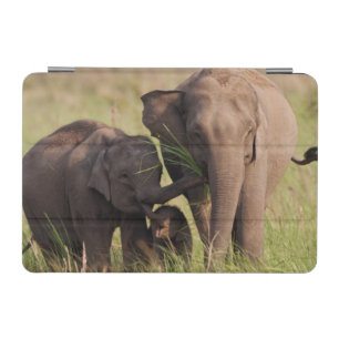 Indian Asian Elephant Family in the Savannah iPad Mini Cover