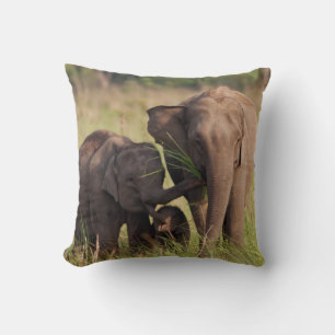 Indian Asian Elephant Family in the Savannah Throw Pillow