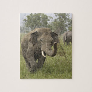 Indian Asian Elephant Greeting Jigsaw Puzzle