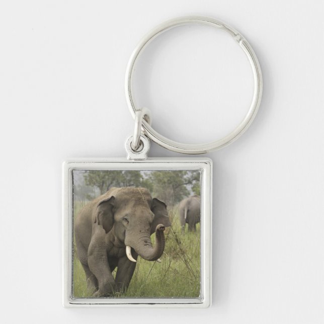 Indian Asian Elephant Greeting Keychain (Front)
