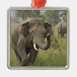 Indian Asian Elephant Greeting Metal Ornament