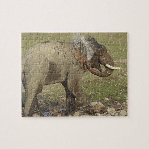Indian  Asian Elephant spraying waterCorbett Jigsaw Puzzle