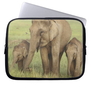 Indian Asian Elephant & Young Ones Laptop Sleeve