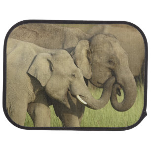 Indian Asian Elephants Car Floor Mat