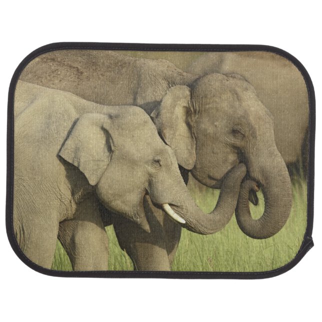 Indian Asian Elephants Car Floor Mat (Rear)