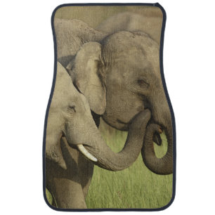 Indian Asian Elephants Car Mat