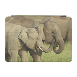 Indian Asian Elephants iPad Mini Cover