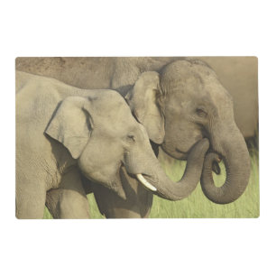 Indian Asian Elephants Placemat