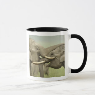 Indian Asian Elephants play Fighting Mug