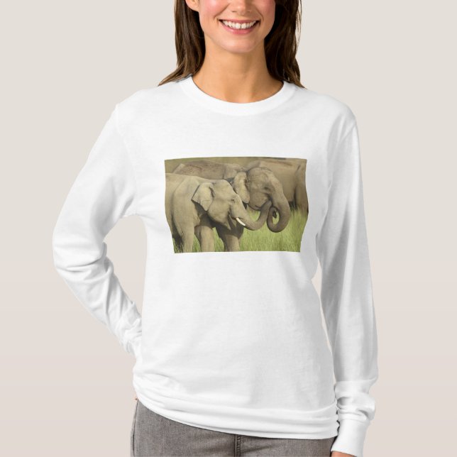 Indian Asian Elephants T-Shirt (Front)