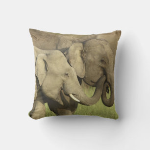 Indian Asian Elephants Throw Pillow