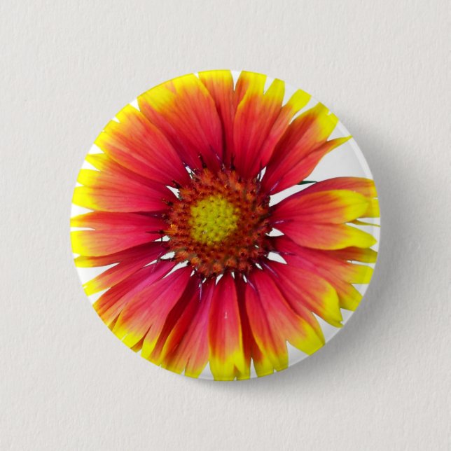 Indian Blanket Flower Pinback Button (Front)