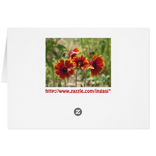 Indian Blanket Wildflowers (Back Horizontal)