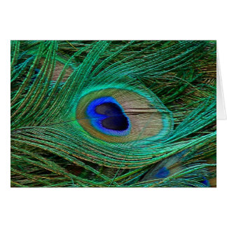 Indian Blue Peacock Feather Cards