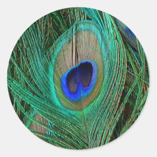 Indian Blue Peacock Feather Classic Round Sticker