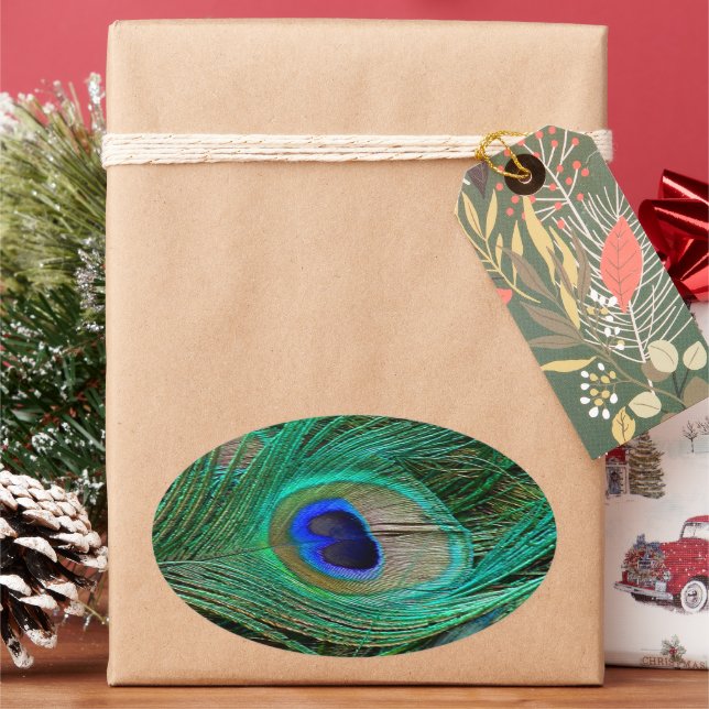 Indian Blue Peacock Feather Oval Sticker (Holiday)