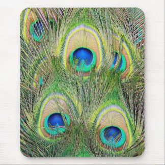 Indian Blue Peacock Feathers Mouse Pad