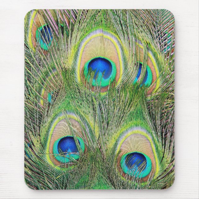 Indian Blue Peacock Feathers Mouse Pad (Front)