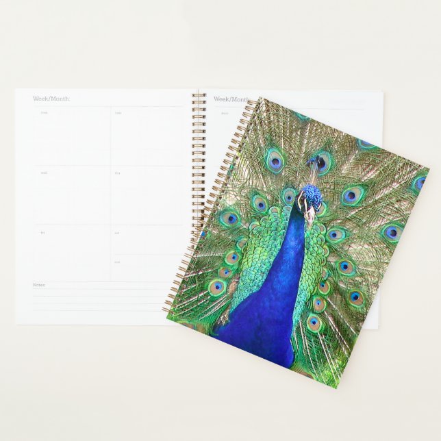 Indian Blue Peacock Planner (Display)