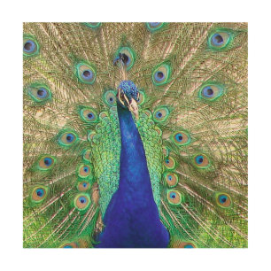 Indian Blue Peacock Wood Wall Art