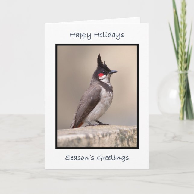 Indian Bulbul Card (Front)