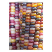 Indian Corn (Front)