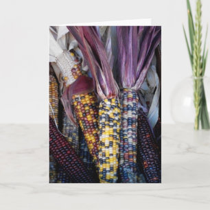 'Indian Corn' Blank Greeting Card