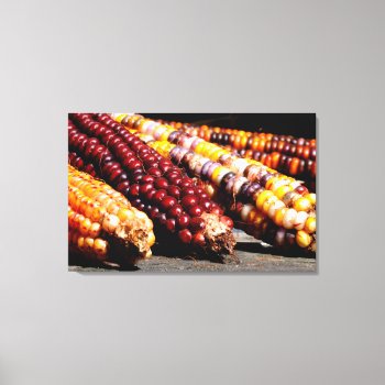 Indian Corn Canvas Print by artinphotography at Zazzle