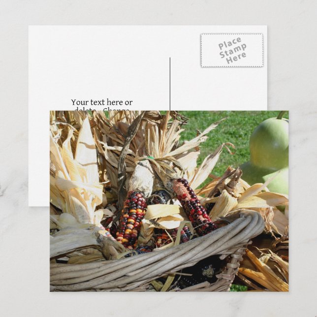 Indian Corn In Basket Nature Personalized Postcard (Front/Back)