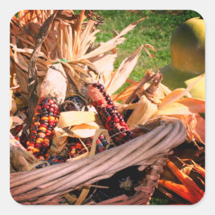 Indian Corn In Wicker Basket Nature Square Sticker