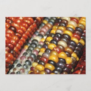 Indian Corn on the Cob Variety Invitation