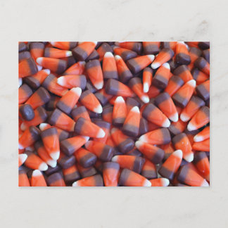 Indian Corn Postcard