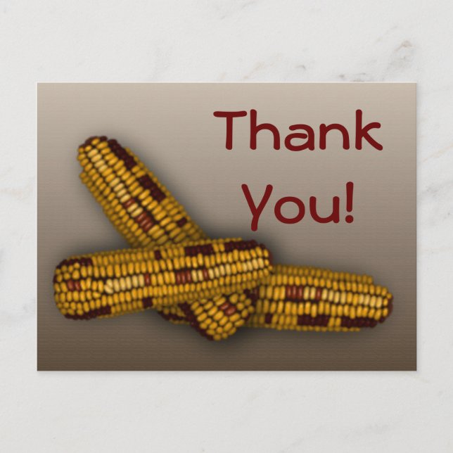 Indian Corn Postcard (Front)