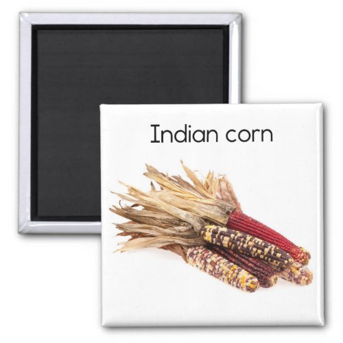 Indian Corn Refrigerator Magnet