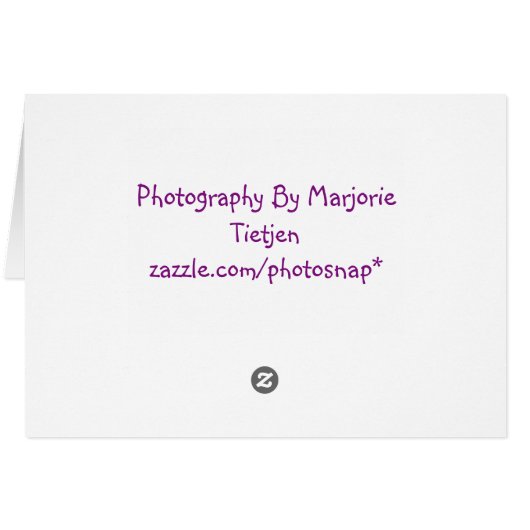 Indian Cove Beach (Back Horizontal)