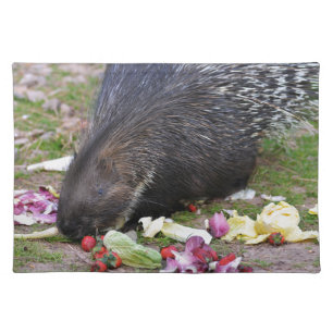 Indian Crested Porcupine eating vegetables Cloth Placemat